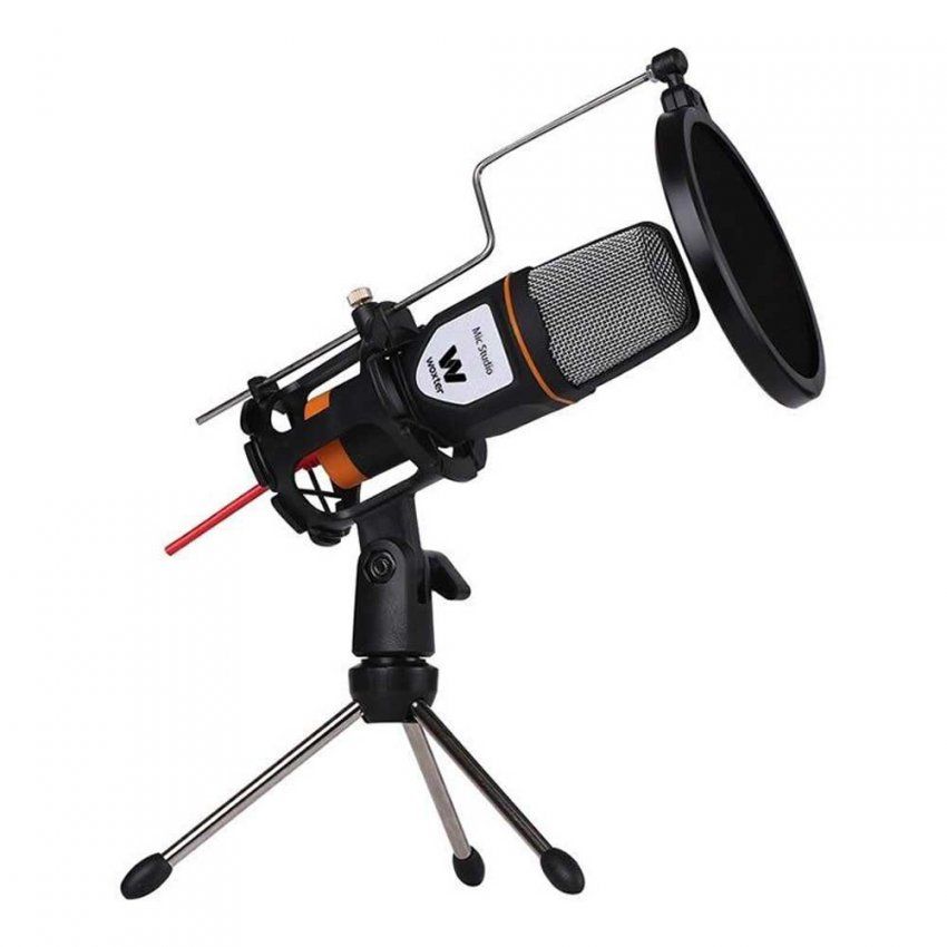 woxter microfono studio